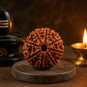 7 Mukhi Rudraksha