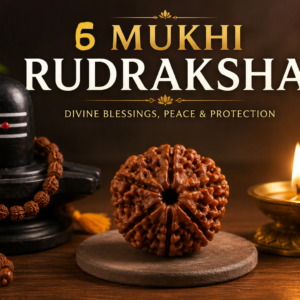 6 Mukhi Rudraksh